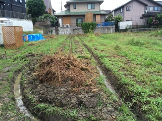写真 2015-09-03 12 14 50