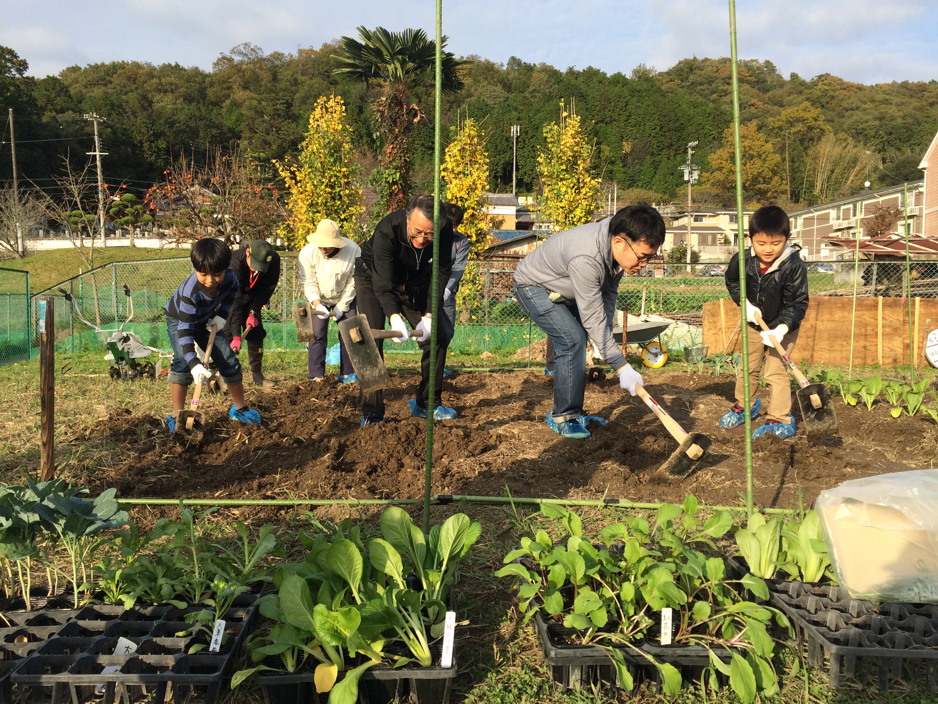 写真 2015-10-17 9 47 46