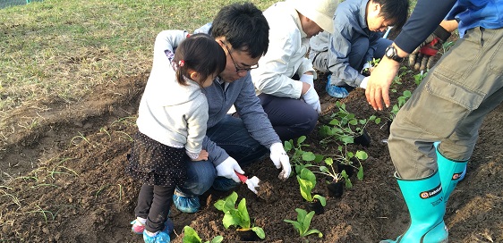 旬菜農園 ファームやました