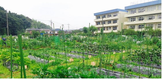 市川農園