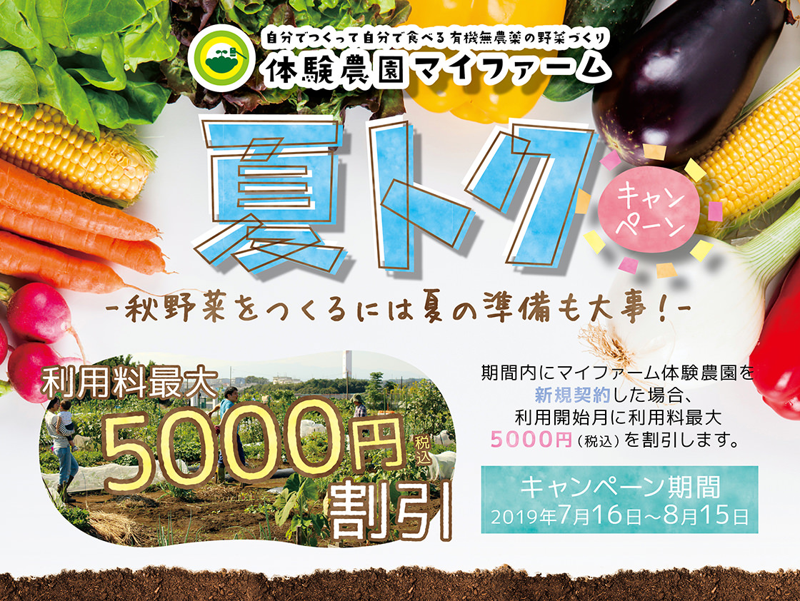 夏トク キャンペーン 秋野菜をつくるには夏の準備も大事！