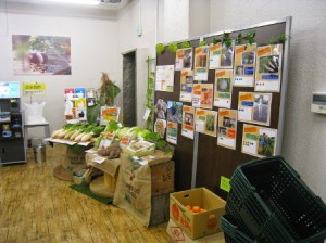 vege1