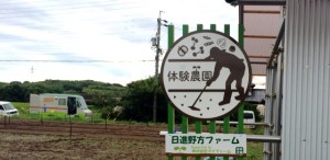 nokata_1