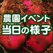 201601018