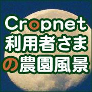 cropnet