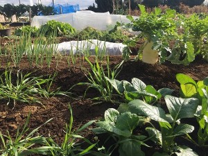 blog_20161220