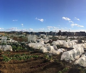 blog_20170117002
