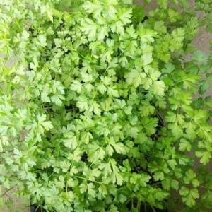 blog_2017012301