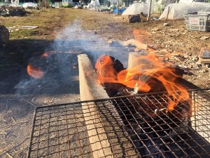 blog_20170130