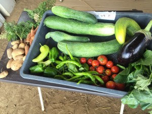 blog_20170215