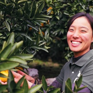 blog_20170221