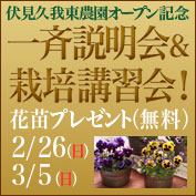 cropnet_banner