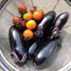 blogi_20170602