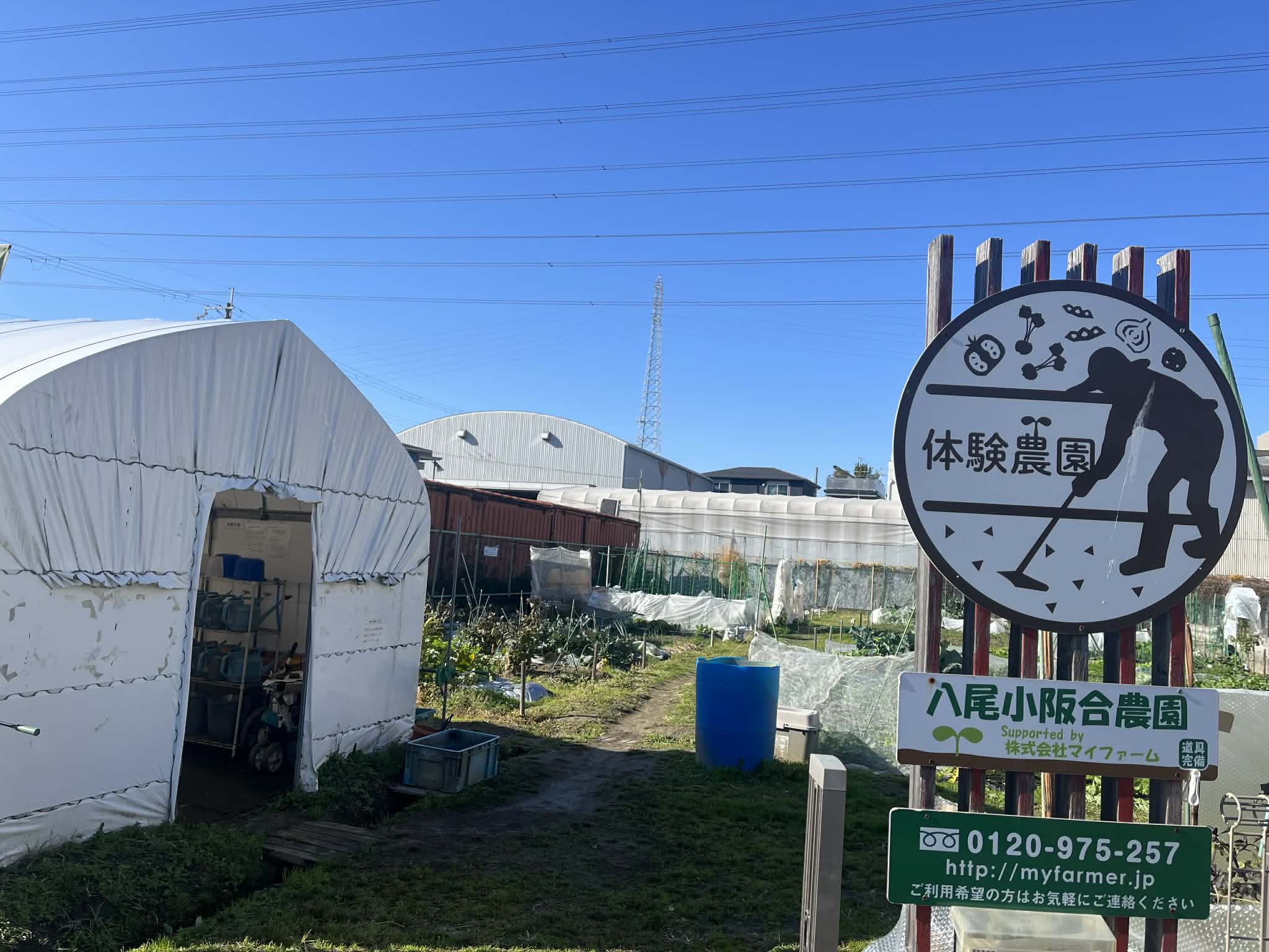 八尾小阪合農園