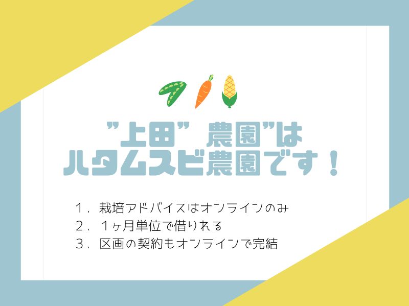 【ハタムスビ】上田゛農園
