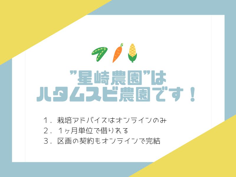 【ハタムスビ】星崎農園