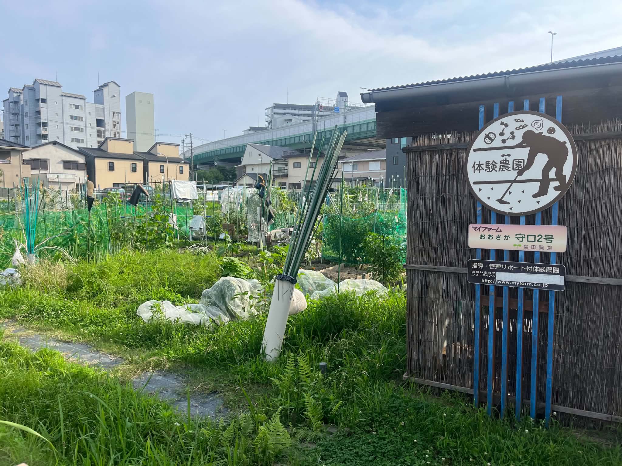 守口２号農園