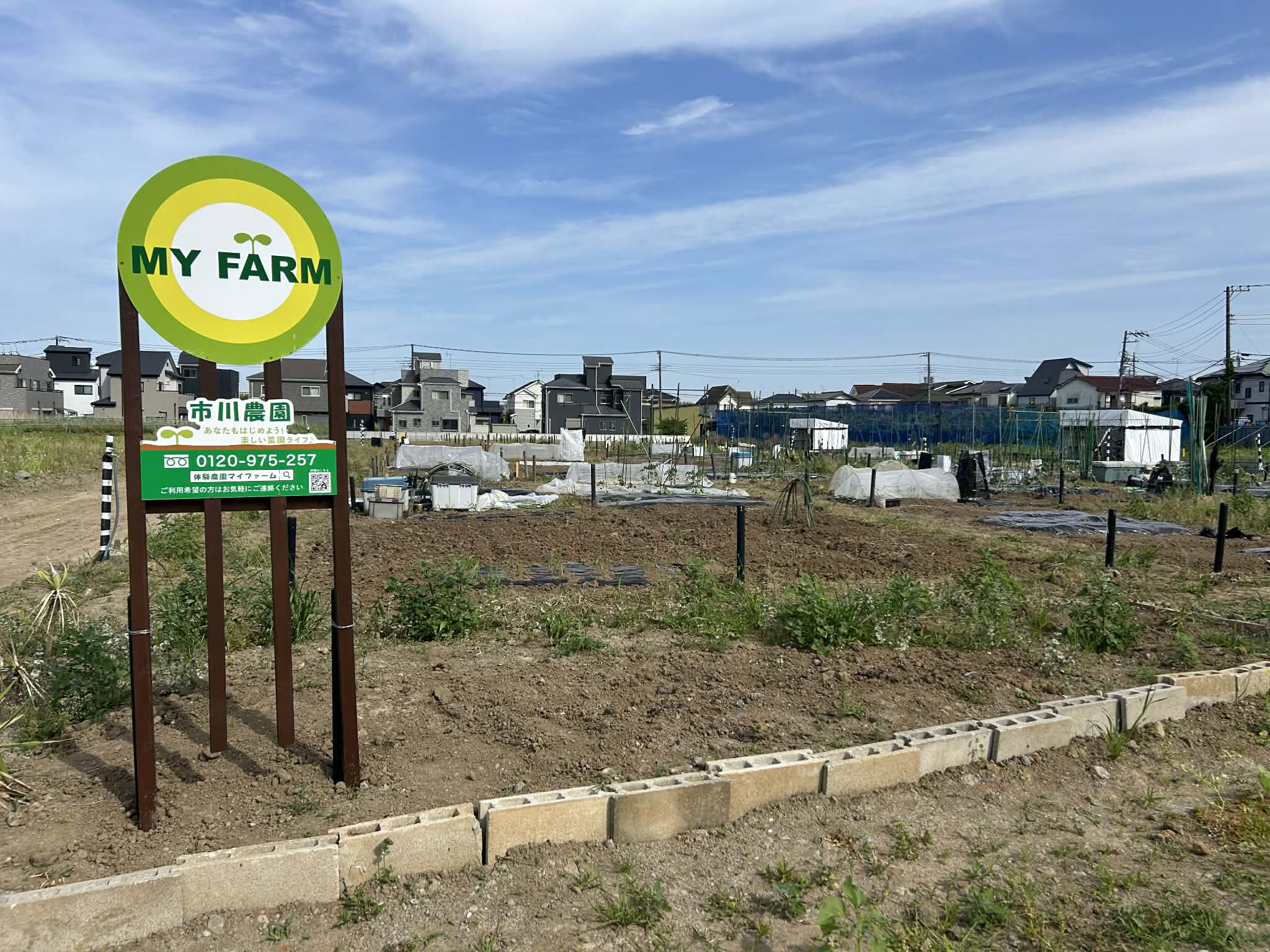 市川農園