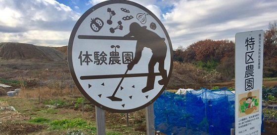 【2023年9月末閉園】菅田町農園