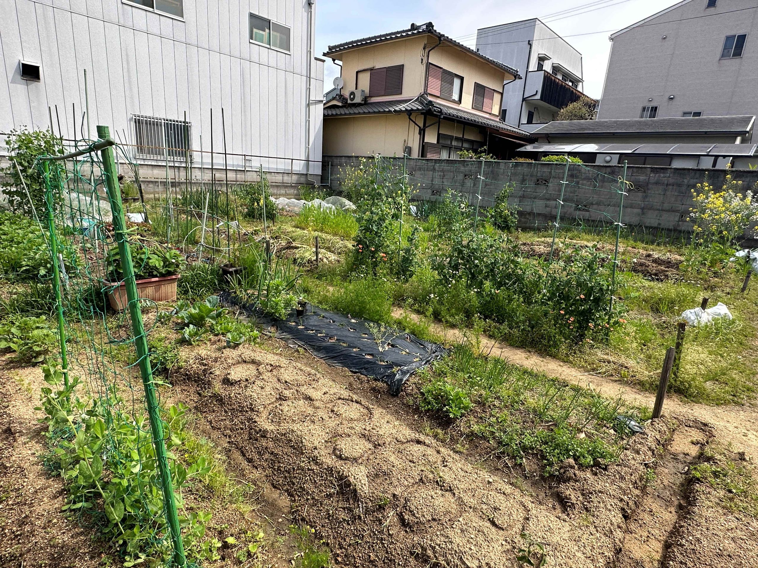 畑借地 グリーンファーム湯里【体験農園マイファーム】