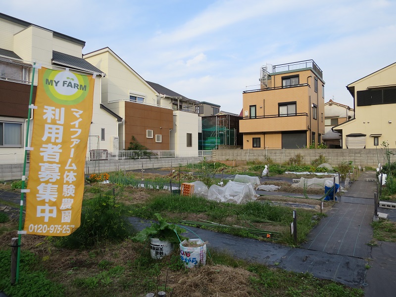 マイファームで体験農園 尼崎市 たかてる西武庫農園 貸し農園 市民農園