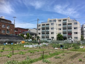 上田゛農園をご紹介！