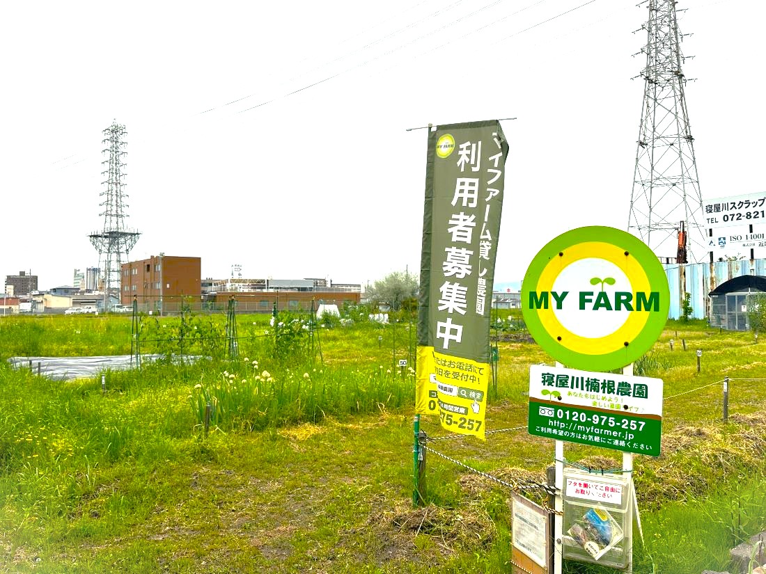 寝屋川楠根農園