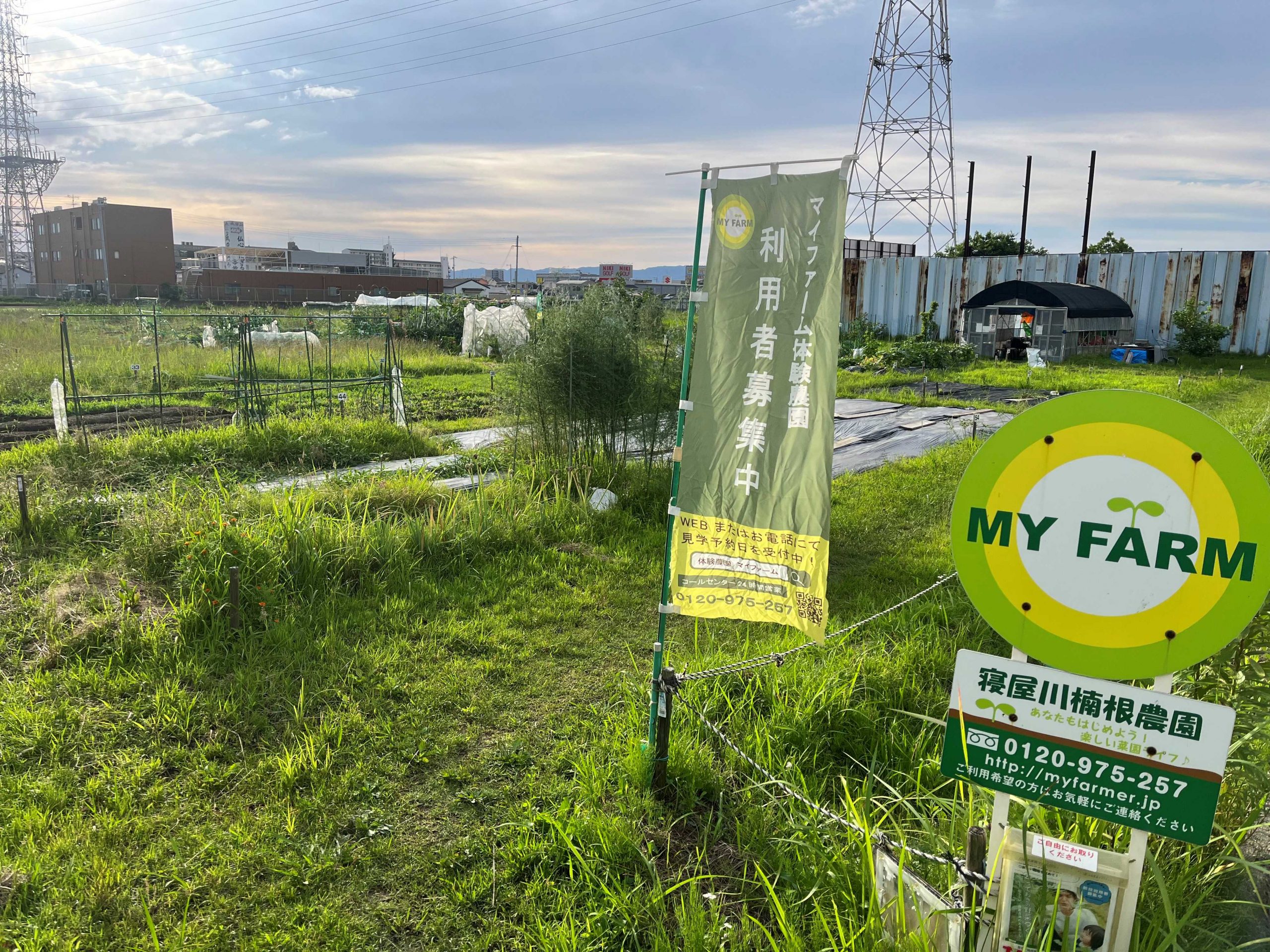寝屋川楠根農園