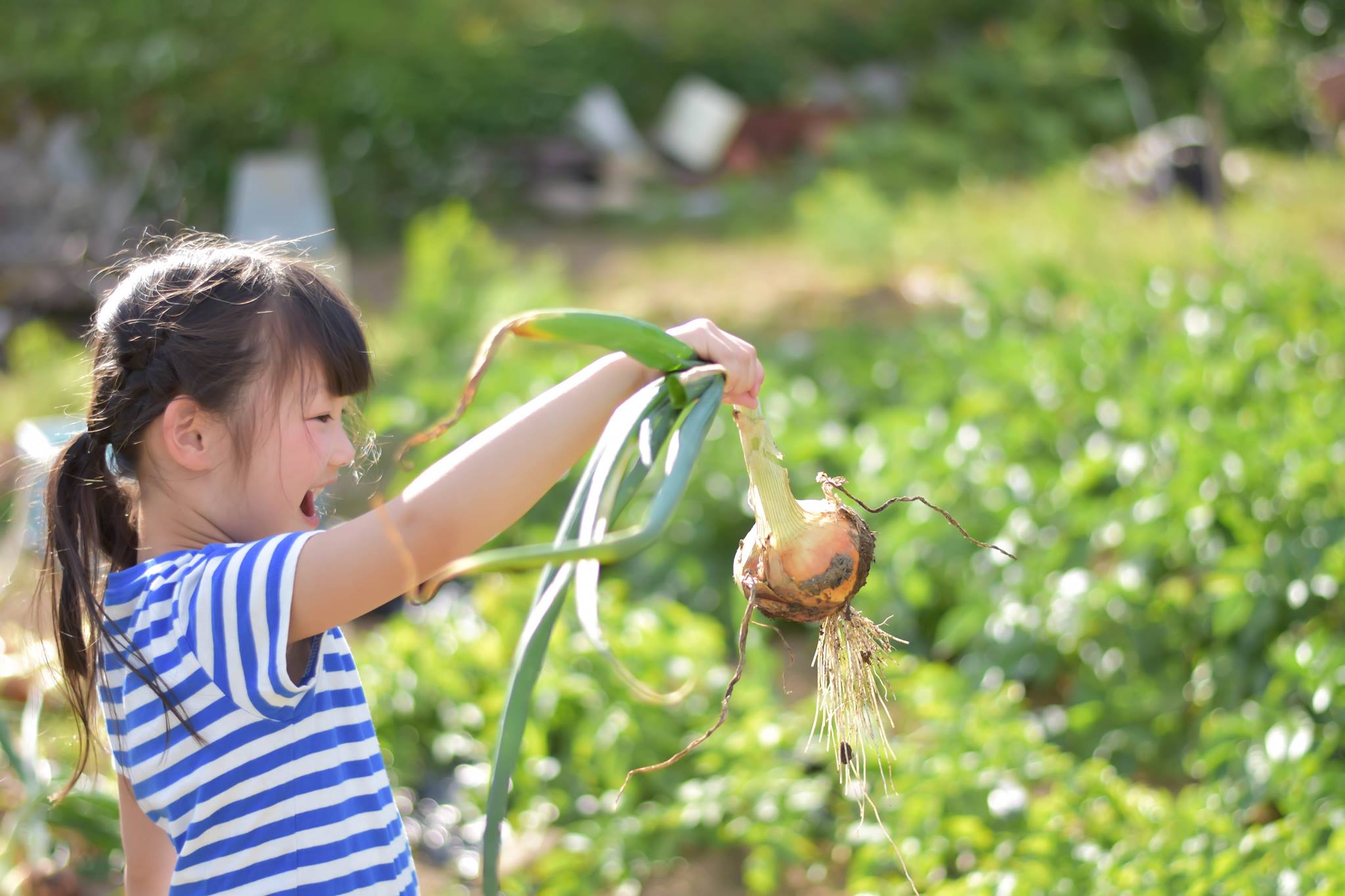 夏野菜苗の植付け体験と農園ランチを作って食べよう！