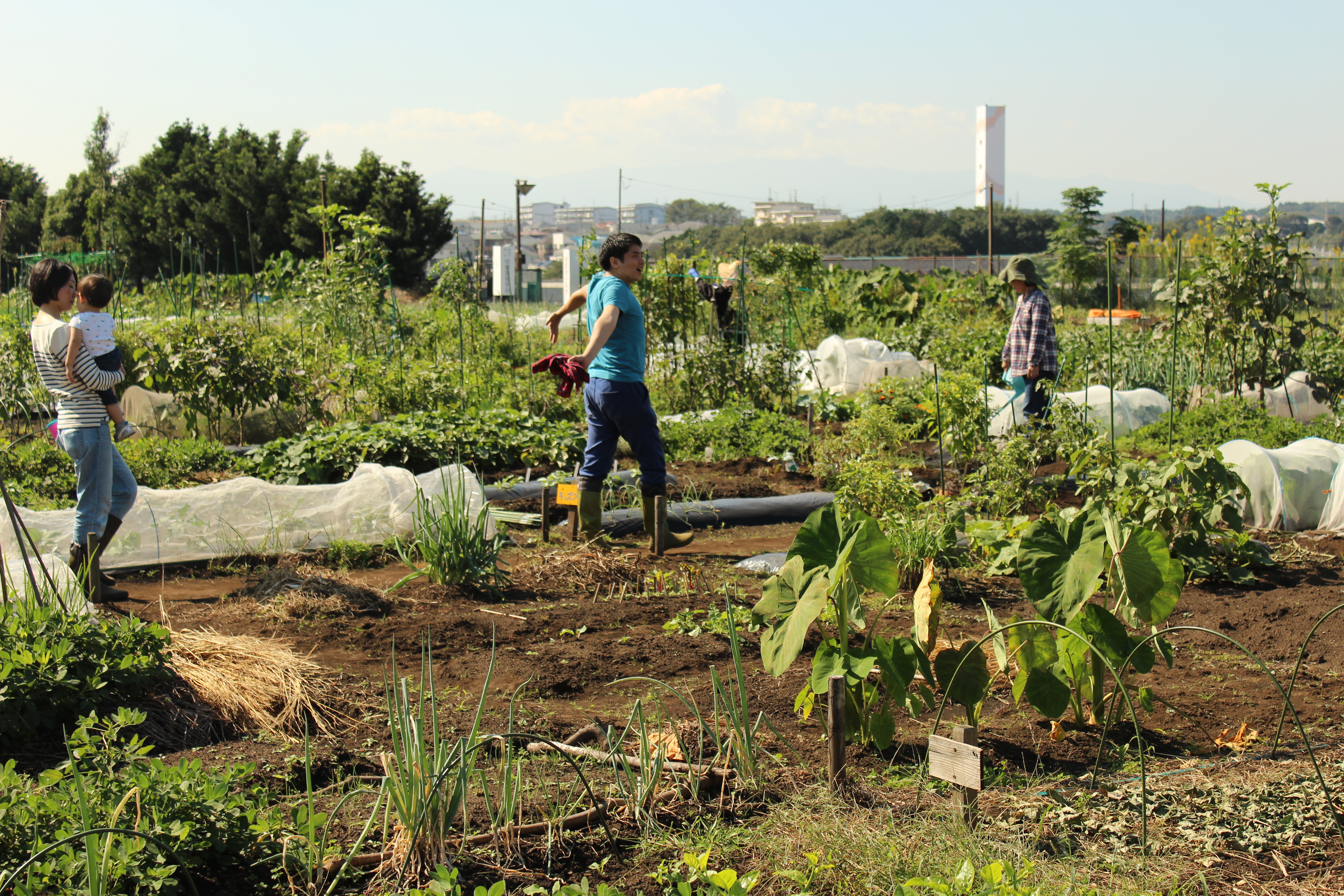 大阪府羽曳野市／ 8月ご好評につき野菜づくり講習会