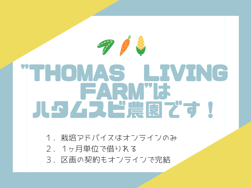 【ハタムスビ】THOMAS LIVING　FARM