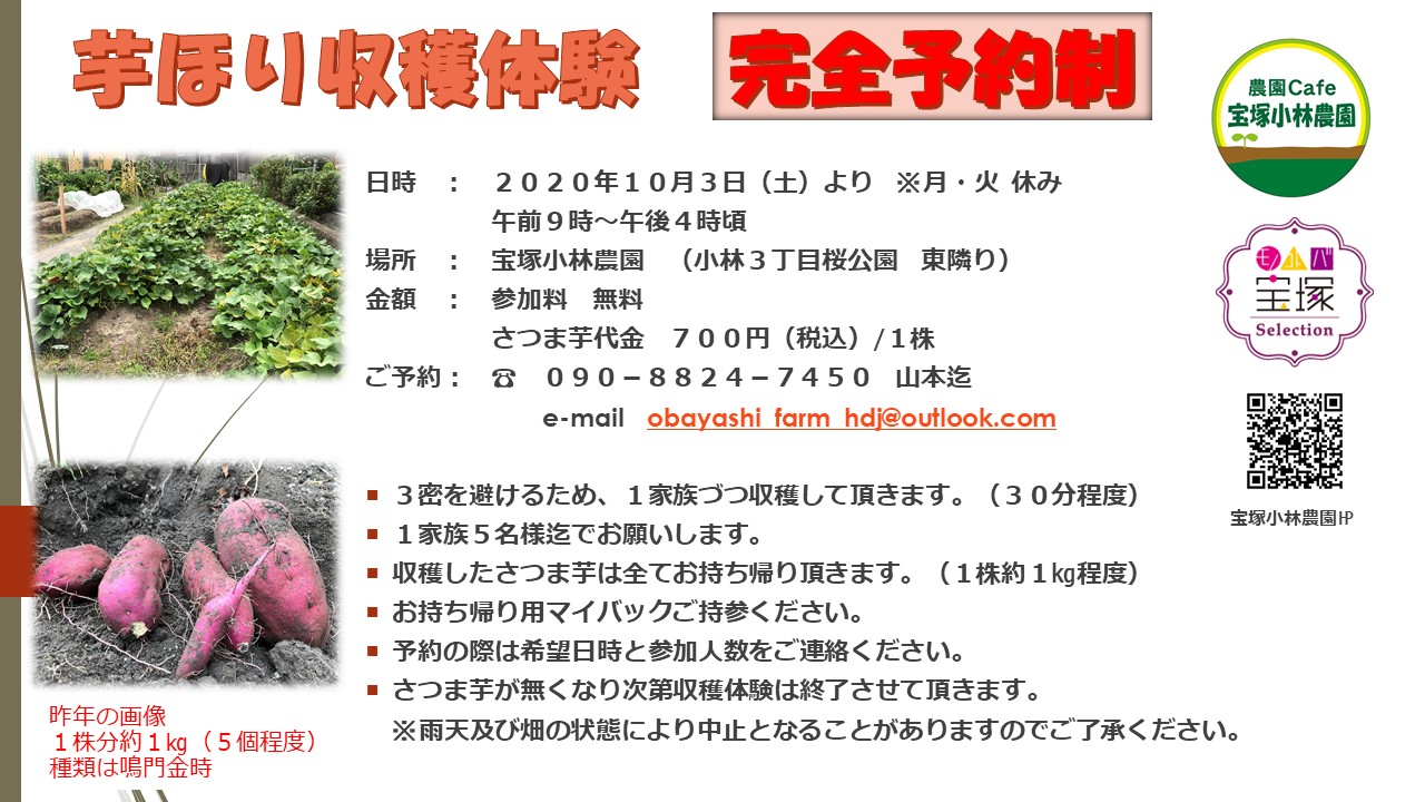 兵庫県宝塚市 / 芋ほり収穫体験♪[完全予約制：満員御礼10/14（水）]