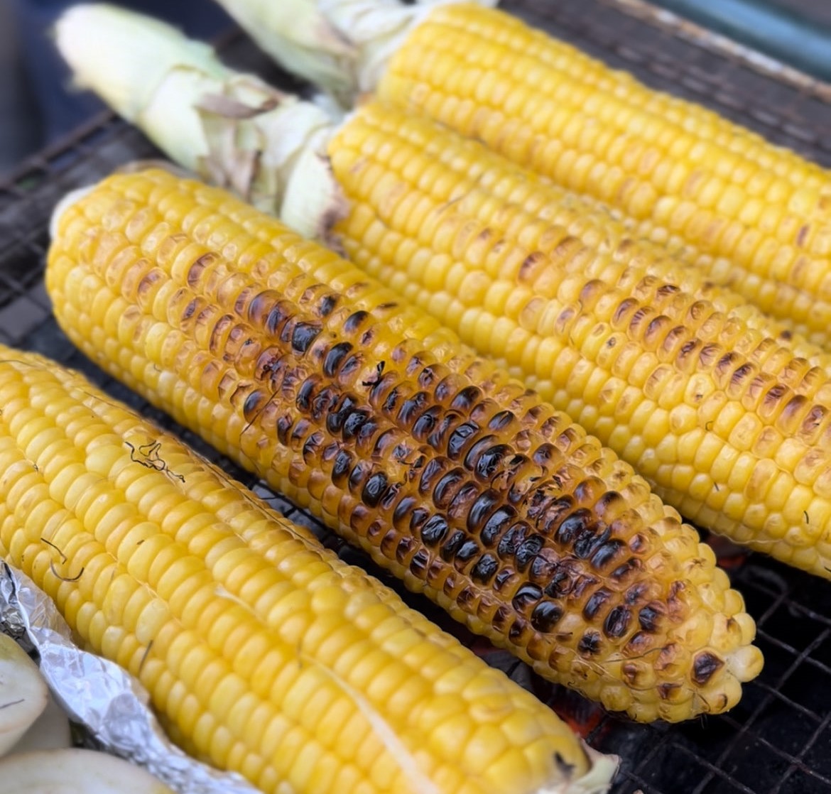 トウモロコシとジャガイモを収穫して農園で食べよう！