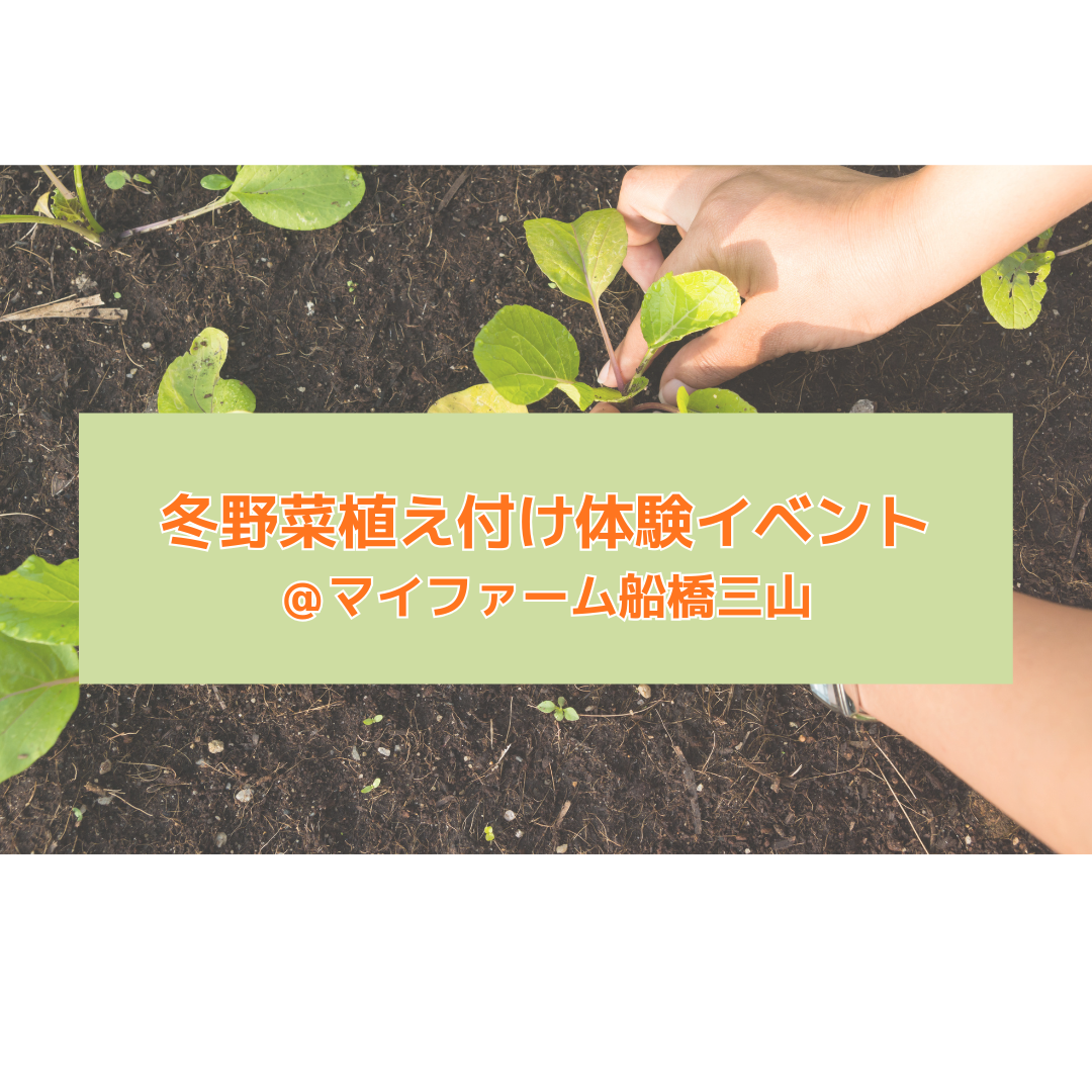 農園見学会＆冬野菜植え付け体験＠マイファーム船橋三山
