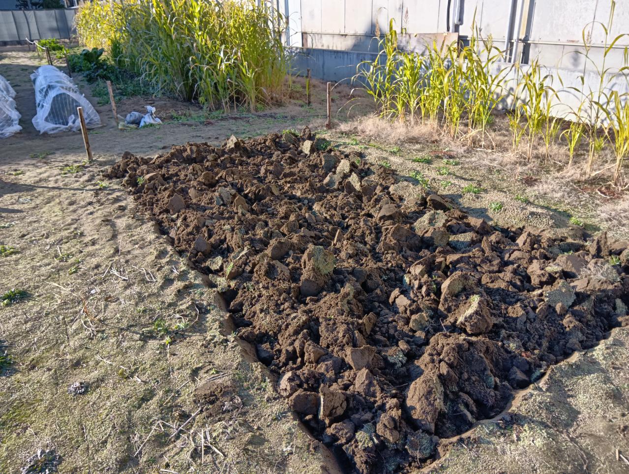 来春に向けた「冬の土作り」の極意