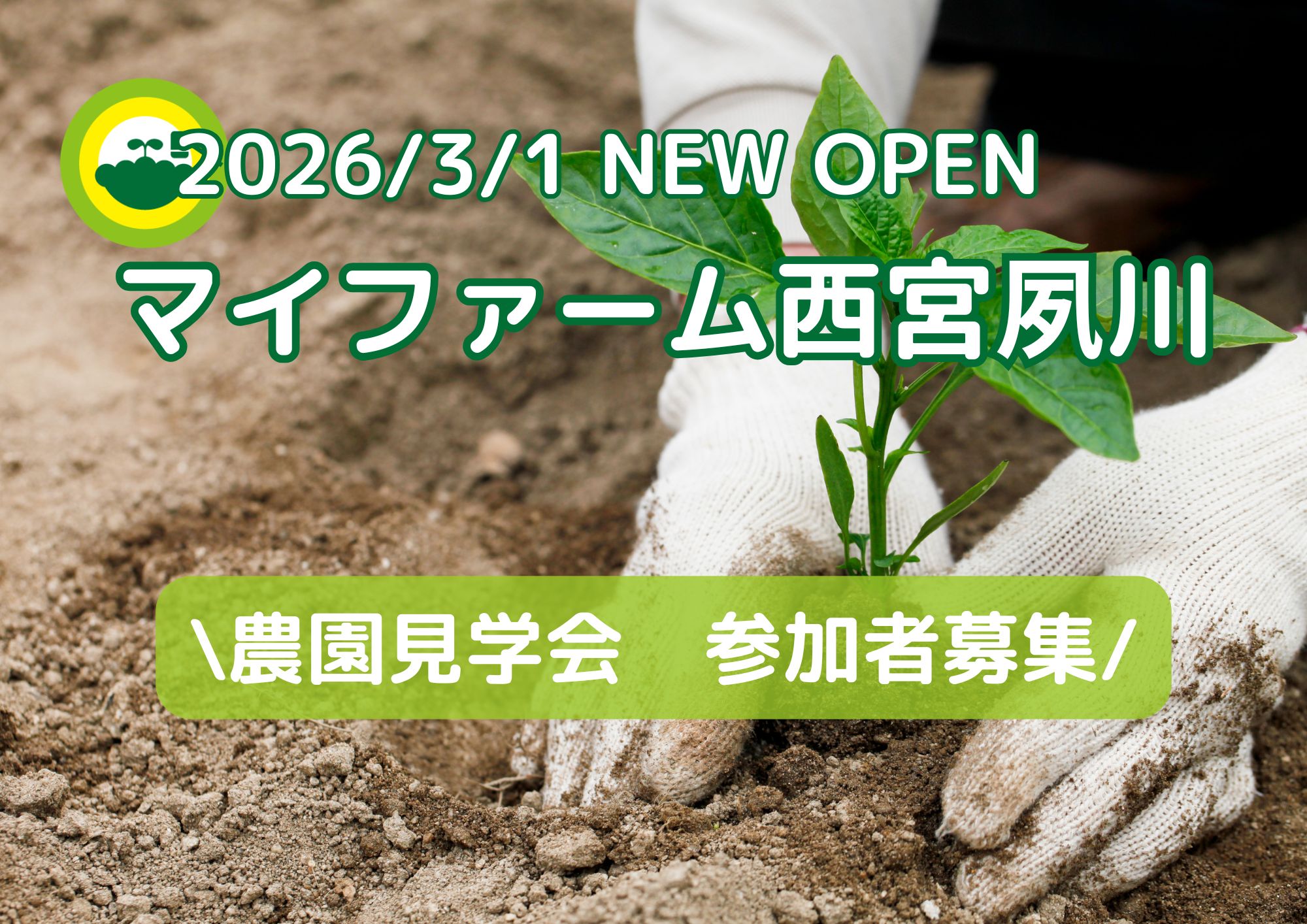 マイファーム西宮夙川