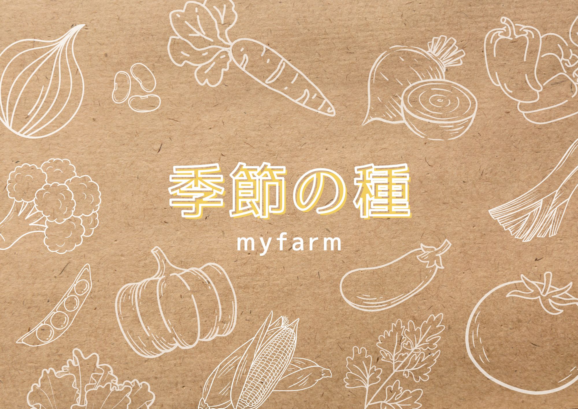 2026年4月　季節の種ブログ vol.4　土垂（里芋）