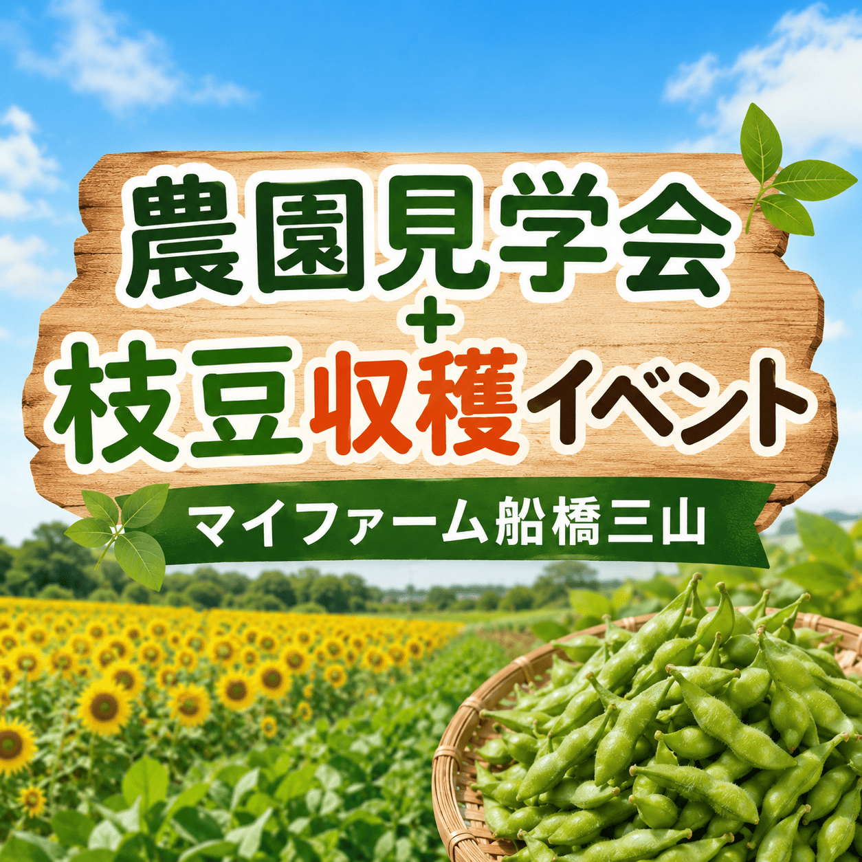 農園見学会＋枝豆収穫イベント＠マイファーム船橋三山