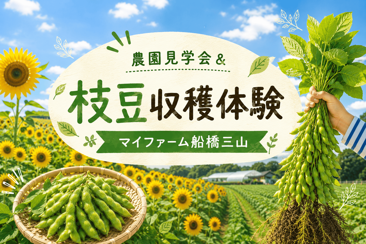 農園見学会＆枝豆収穫イベント＠マイファーム船橋三山