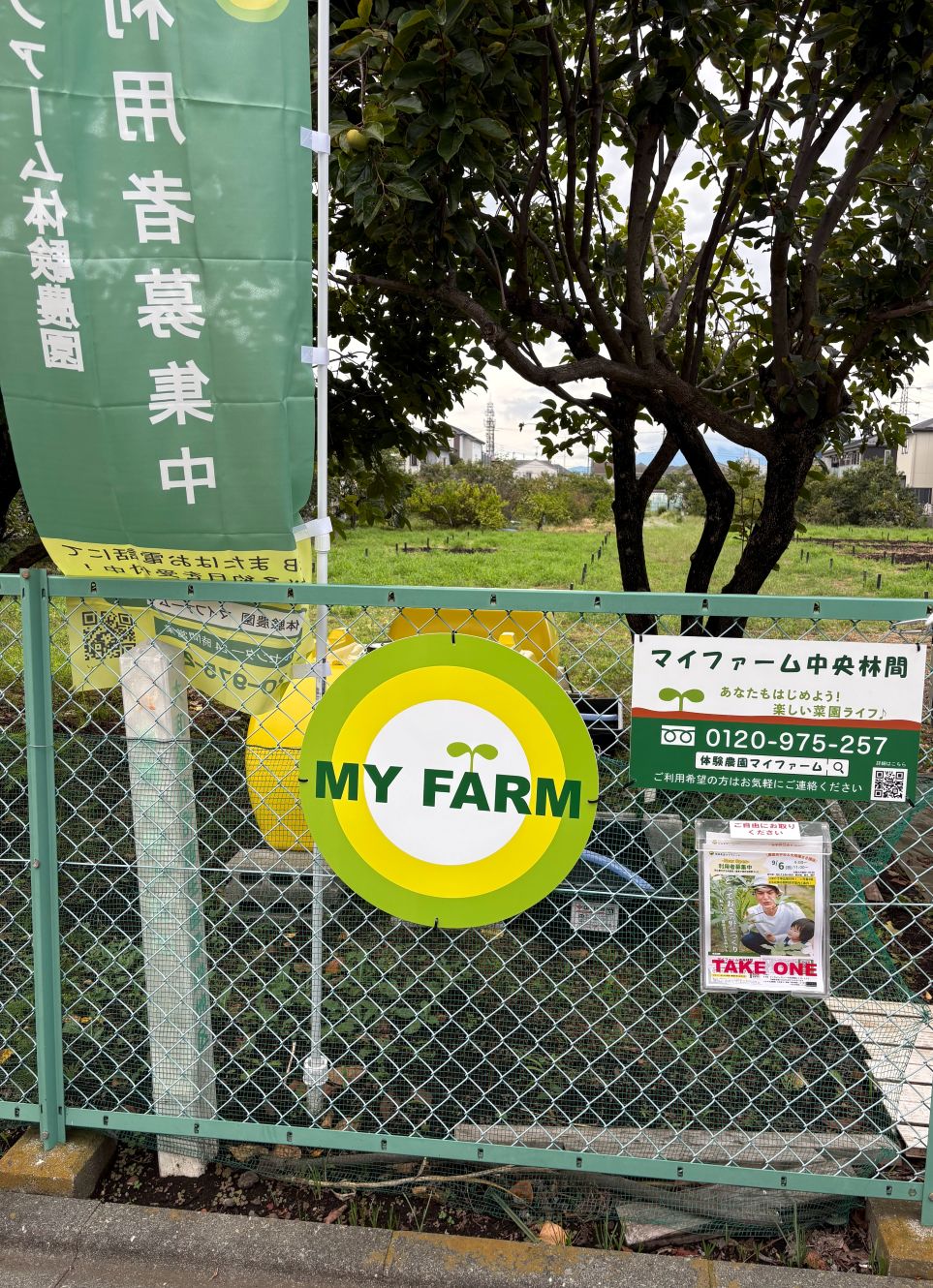 マイファーム中央林間