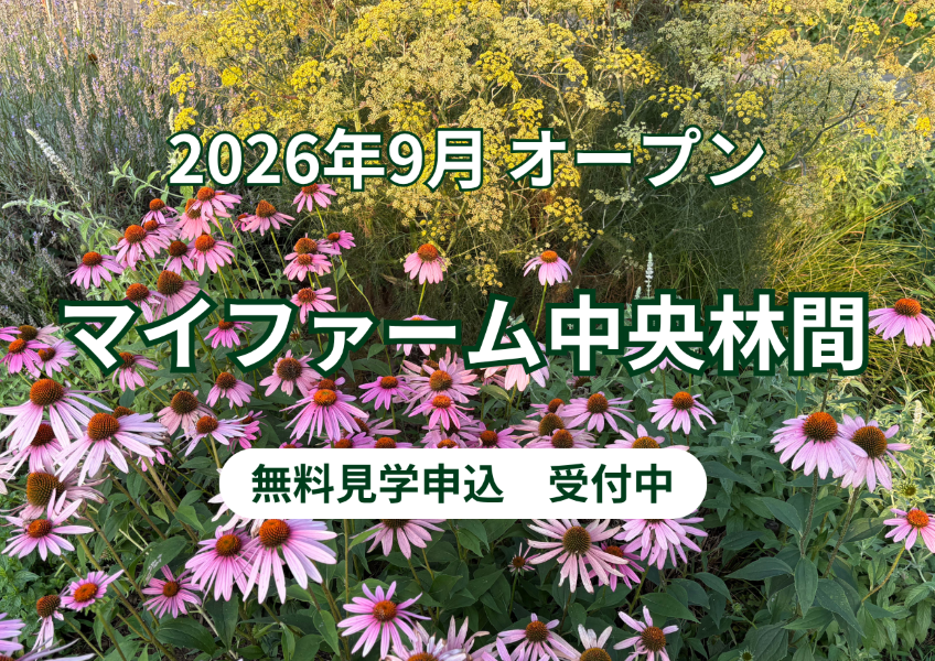 マイファーム中央林間