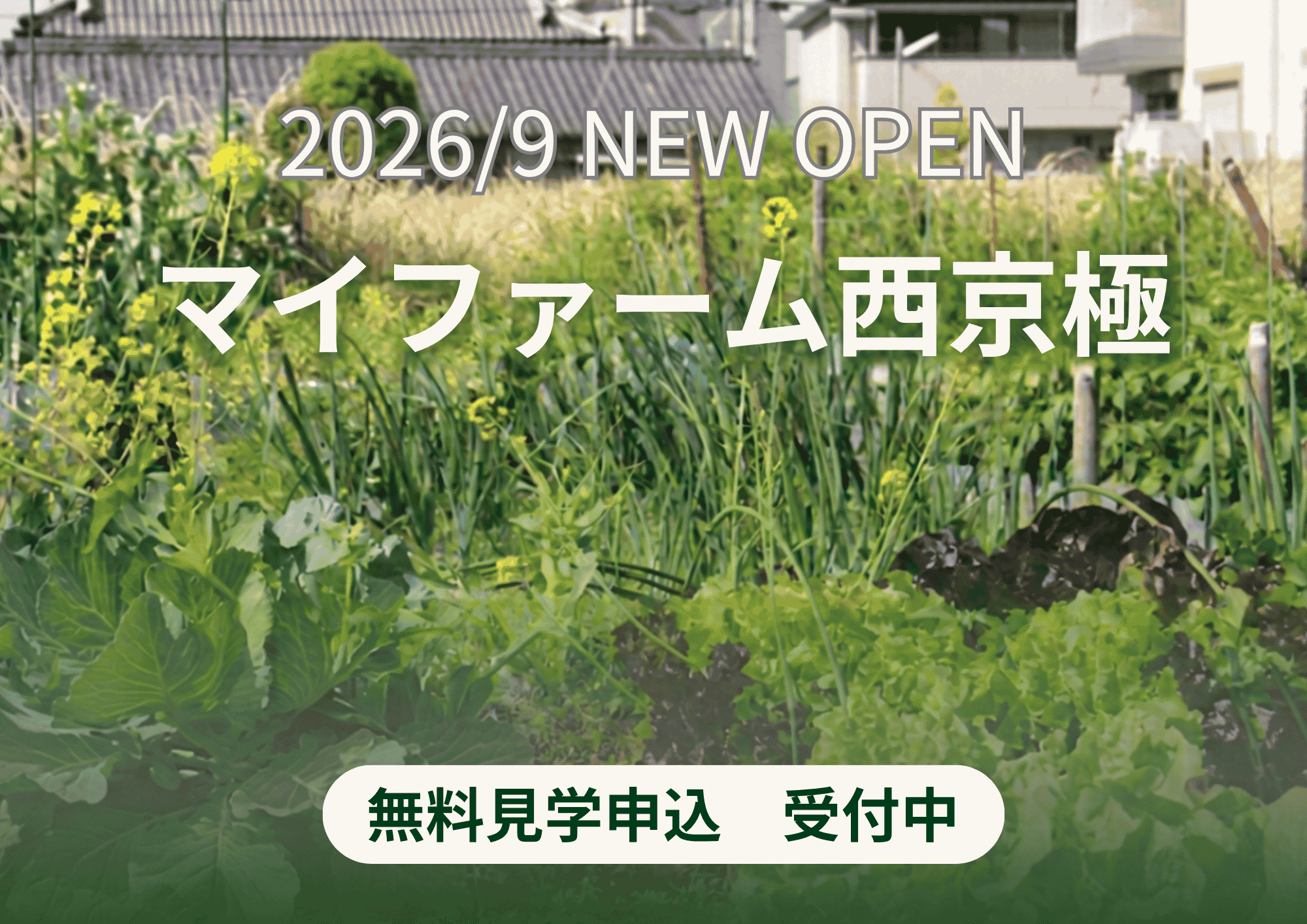 マイファーム西京極