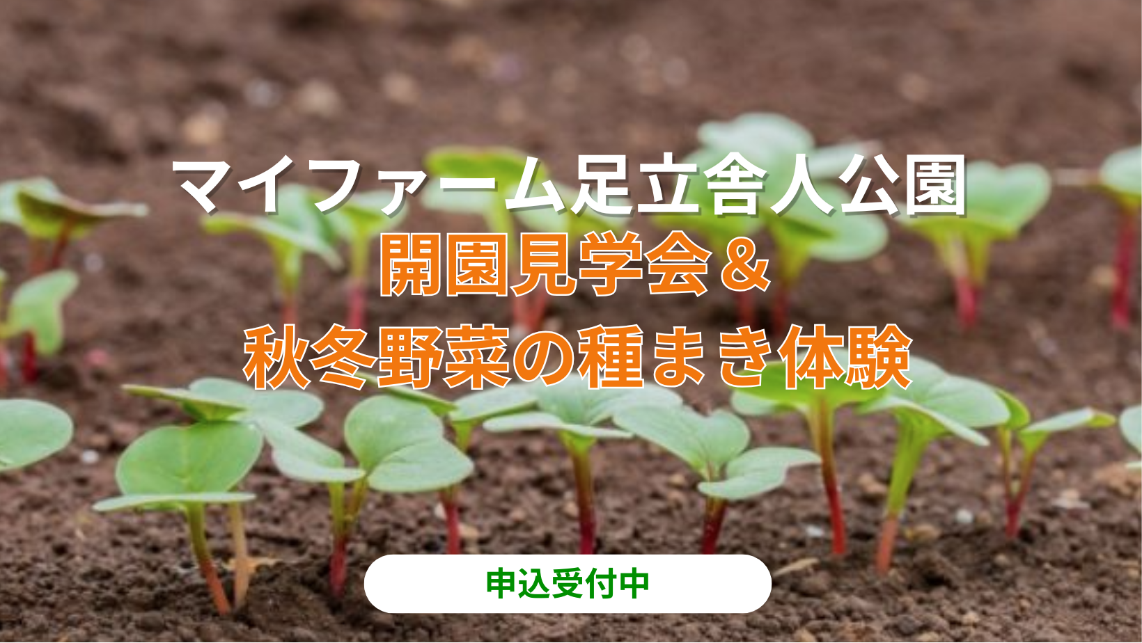 開園見学会＆秋冬野菜の種まき体験＠マイファーム足立舎人公園