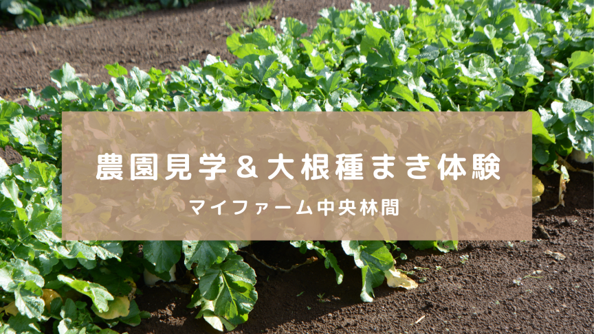 開園見学会＆大根種まき体験＠マイファーム中央林間