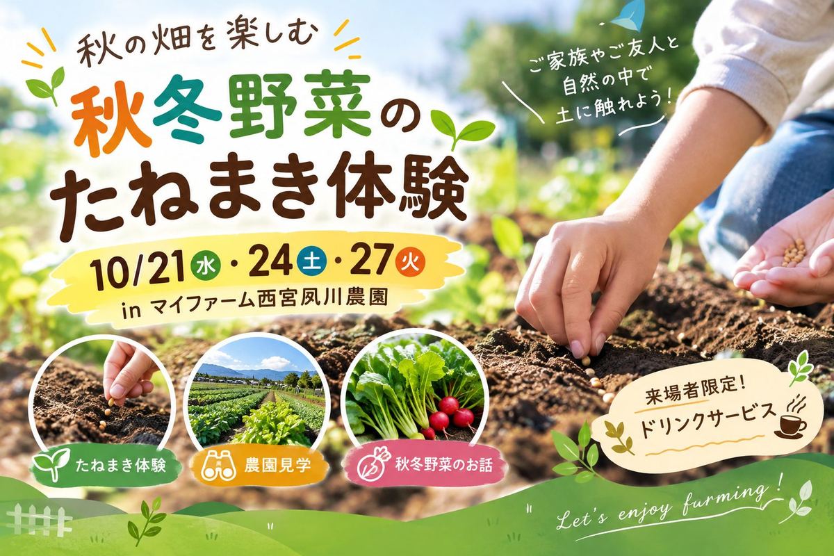 【10月21日(水)、10月24日(土)、10/27（火）】たねまき体験＆秋の畑さんぽ＠マイファーム西宮夙川農園