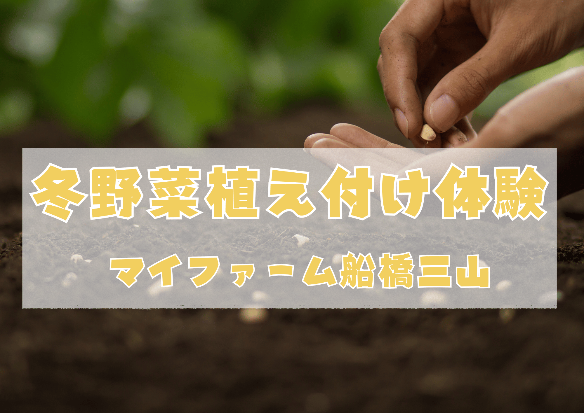 農園見学会＆冬野菜植え付け体験＠マイファーム船橋三山